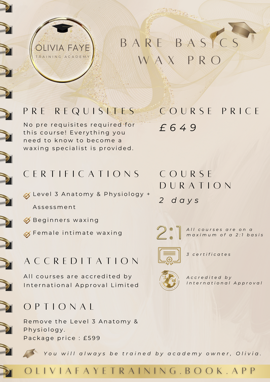 Bare Basics Wax Pro Course🎓